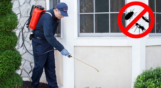 Kabataş Dezenfeksiyon böcek ilaçlama ve haşere kontrolü — ilaclama-tr.com